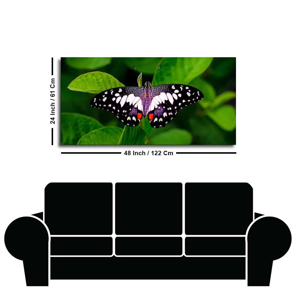 A Beautiful Butterfly on Leaf Premium Canvas Wall Painting