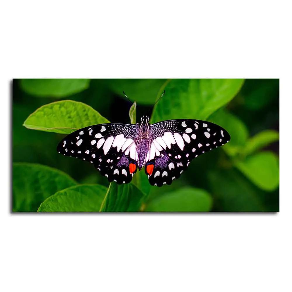 A Beautiful Butterfly on Leaf Premium Canvas Wall Painting