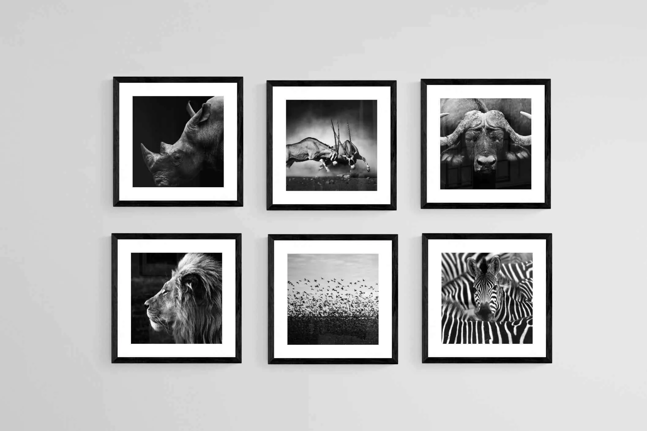 African Animals Set