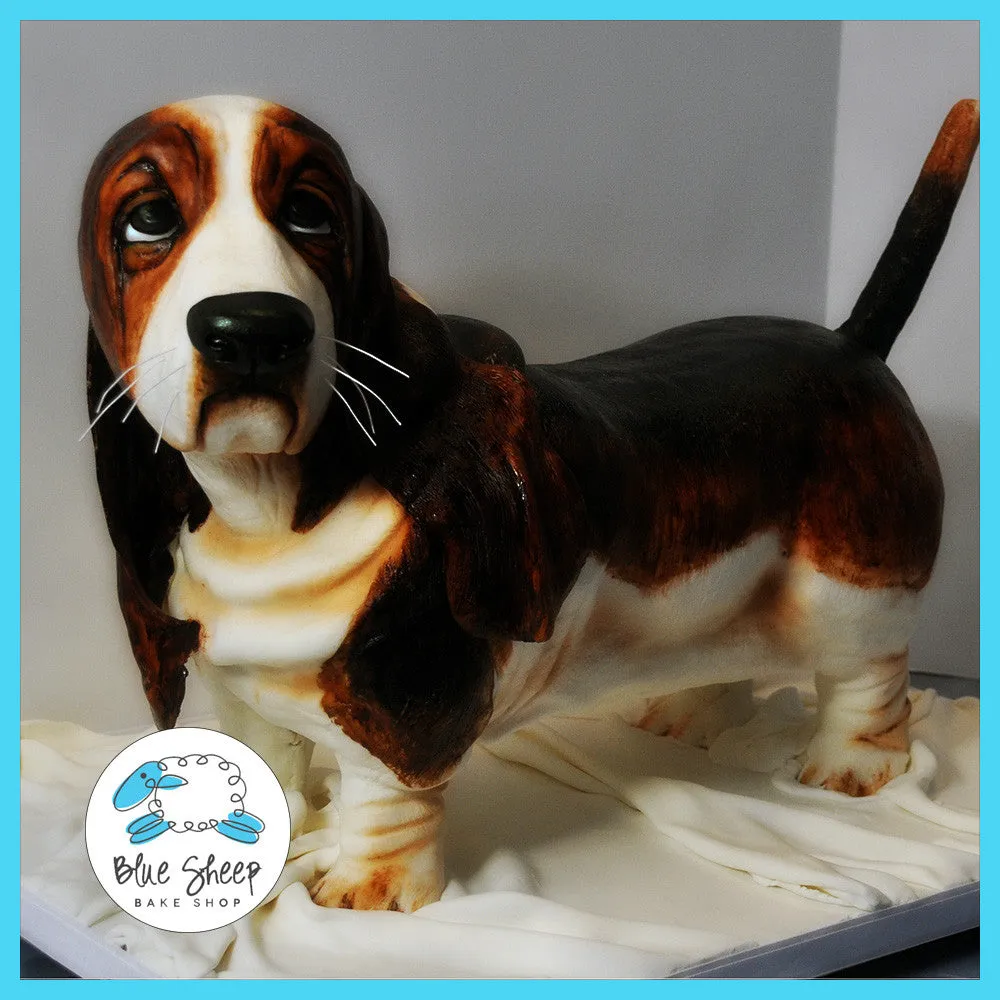 Basset Hound Sculpted Birthday Cake