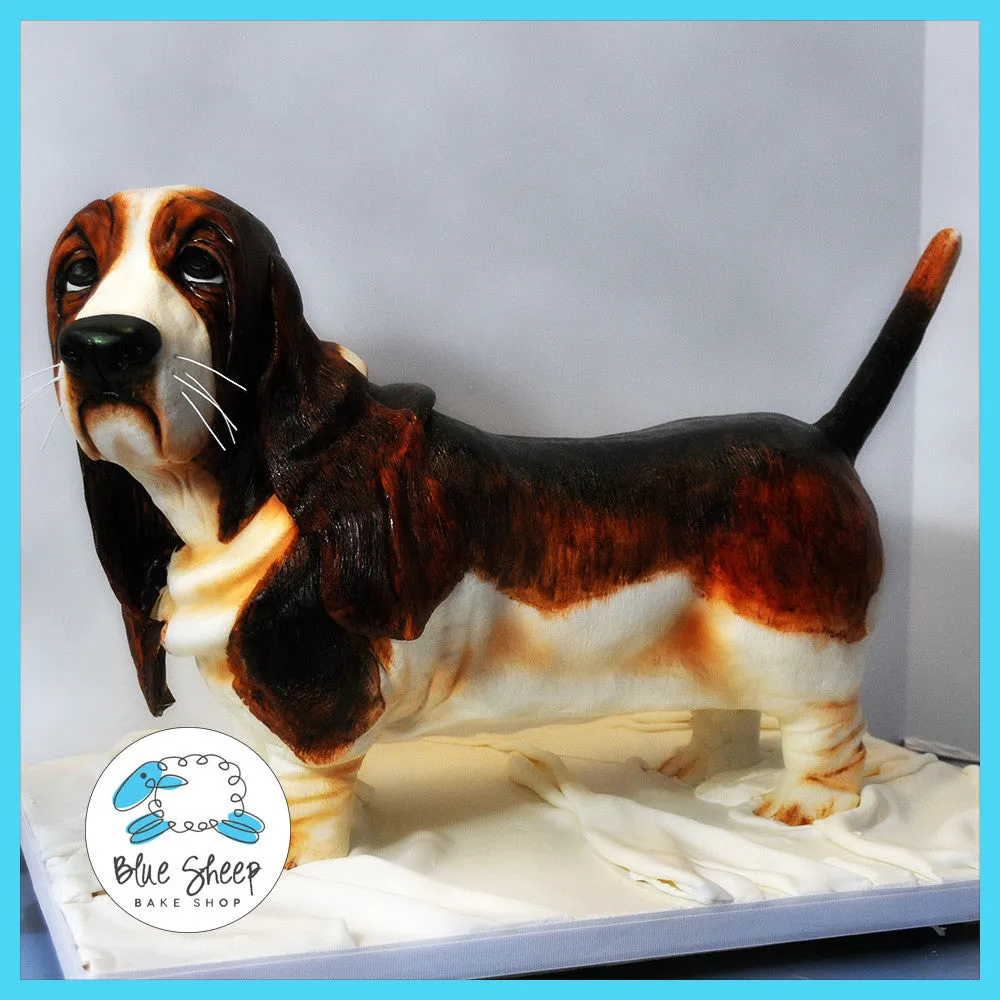 Basset Hound Sculpted Birthday Cake