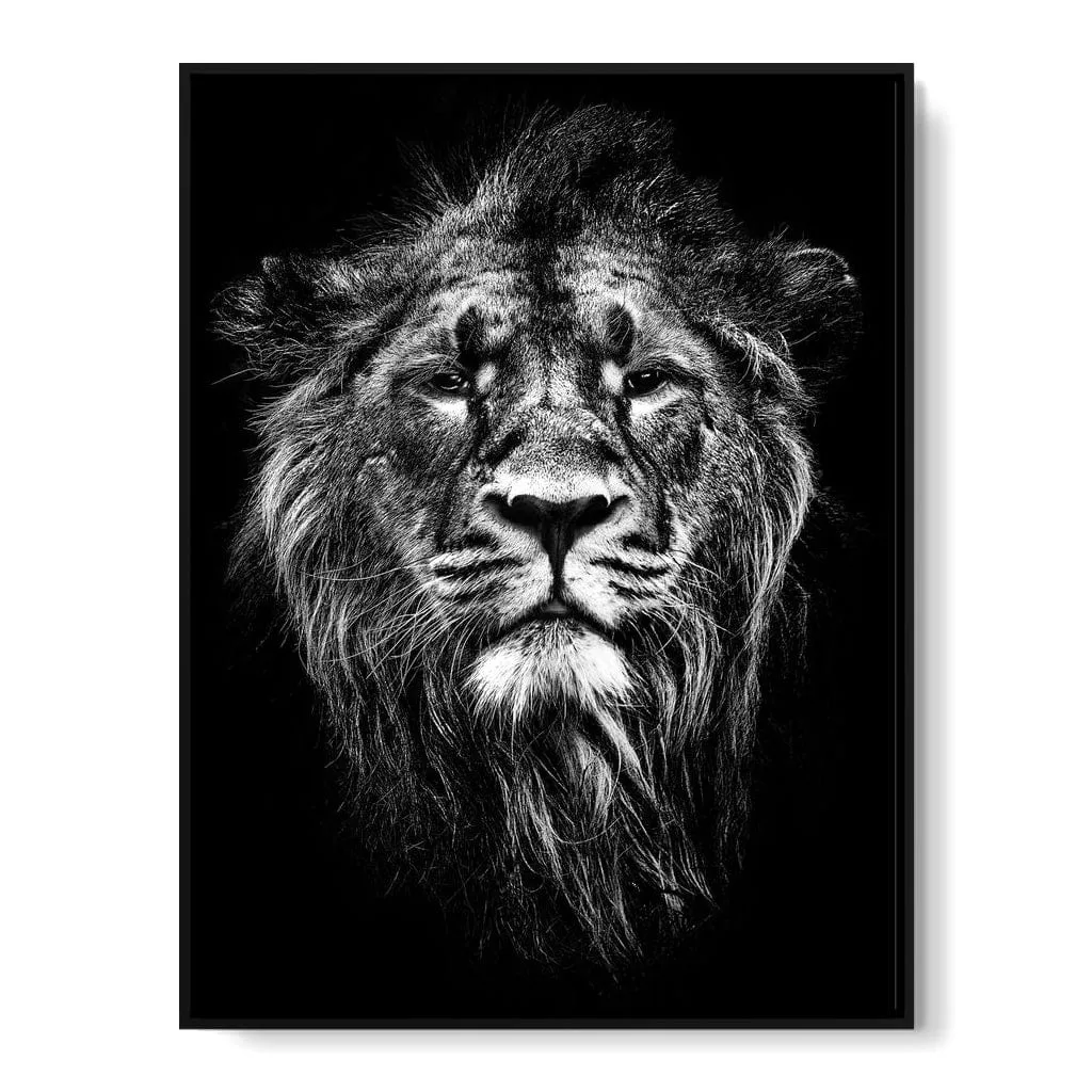 Black and White Lion Portrait