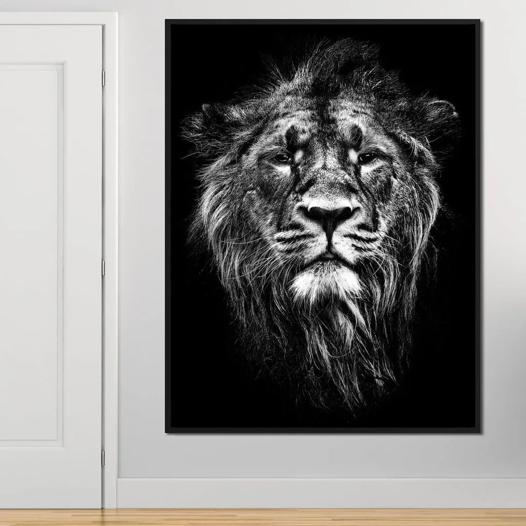 Black and White Lion Portrait