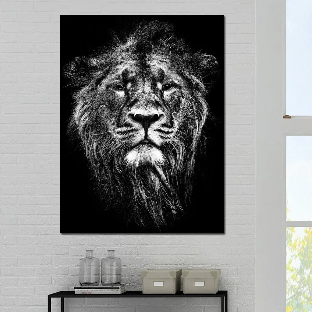 Black and White Lion Portrait