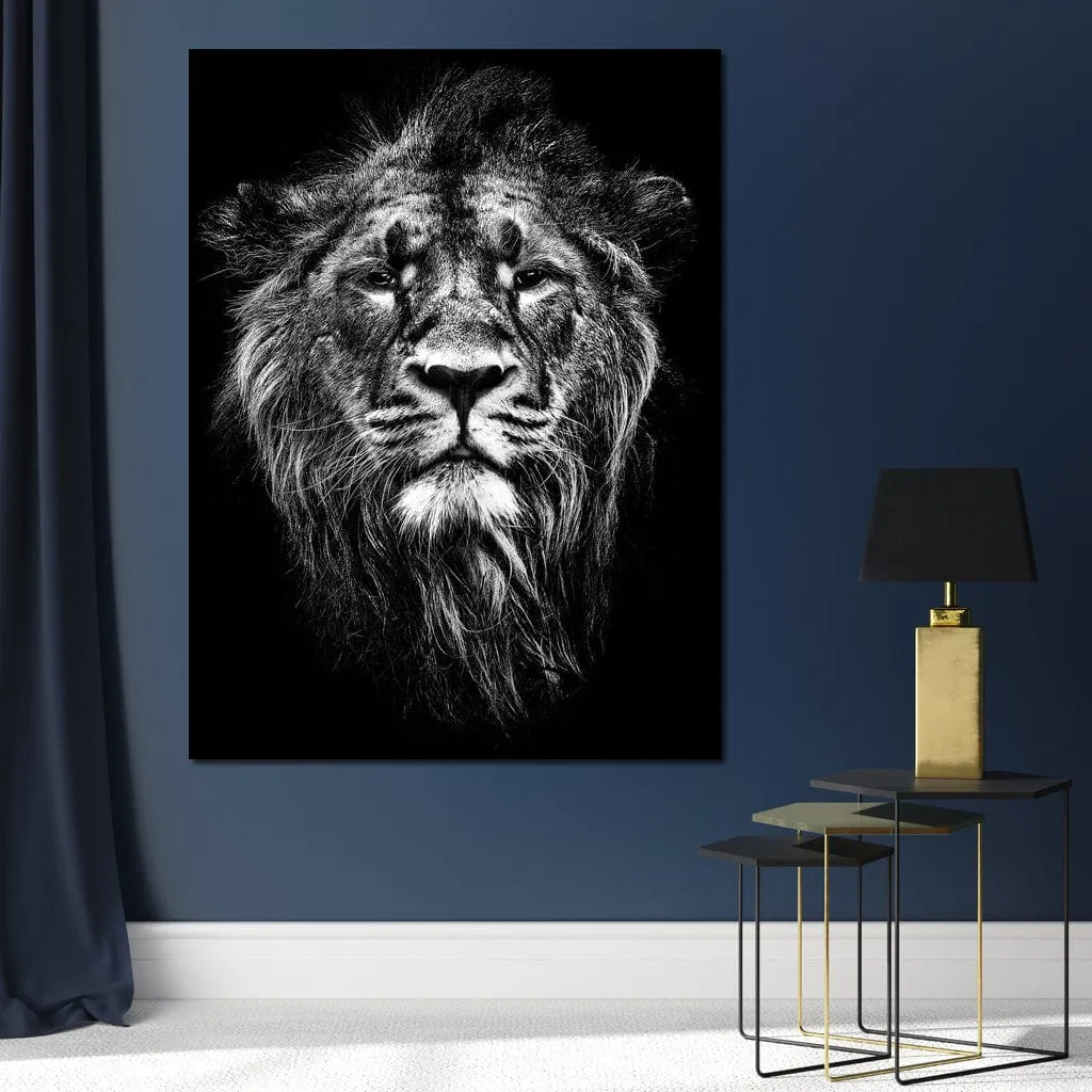 Black and White Lion Portrait