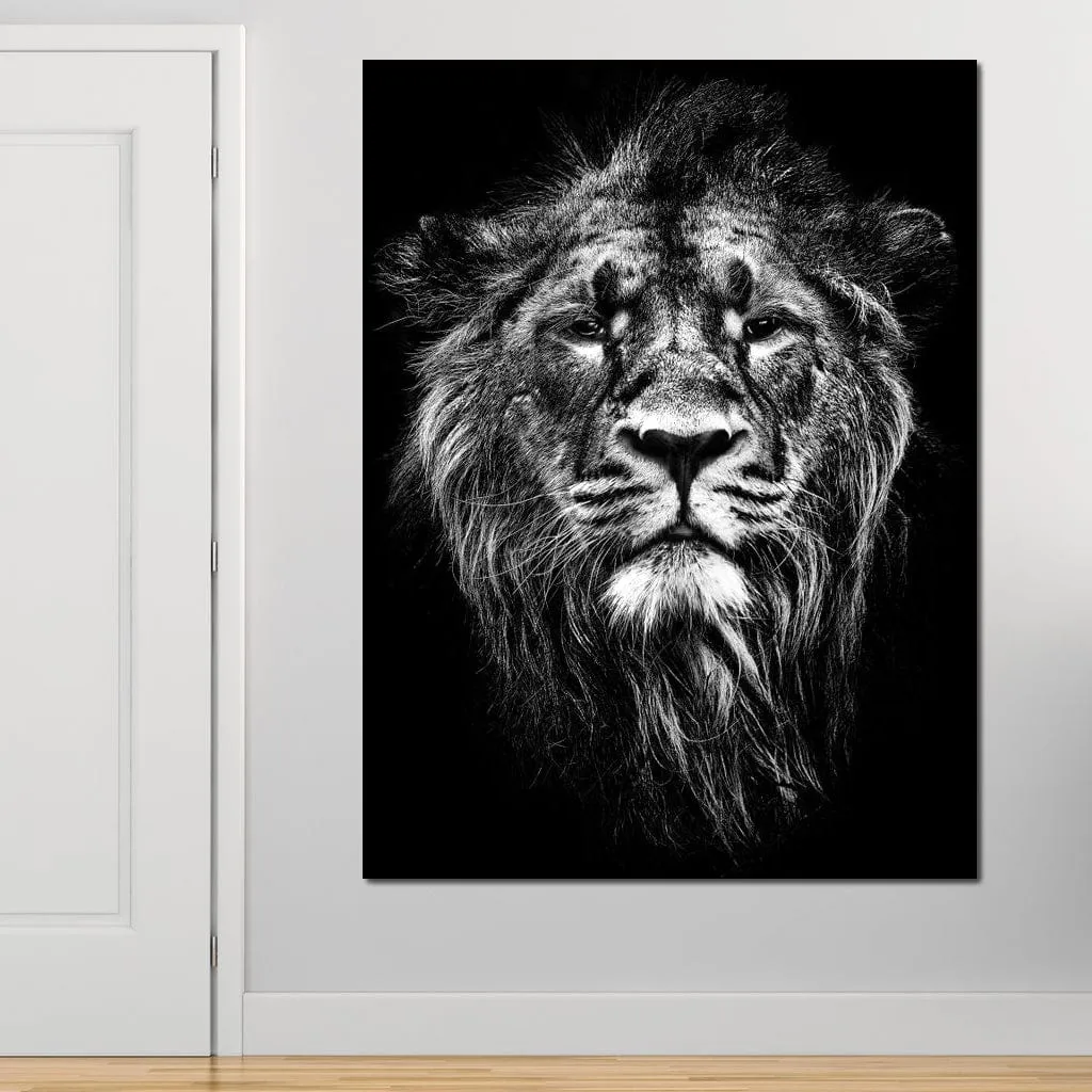 Black and White Lion Portrait