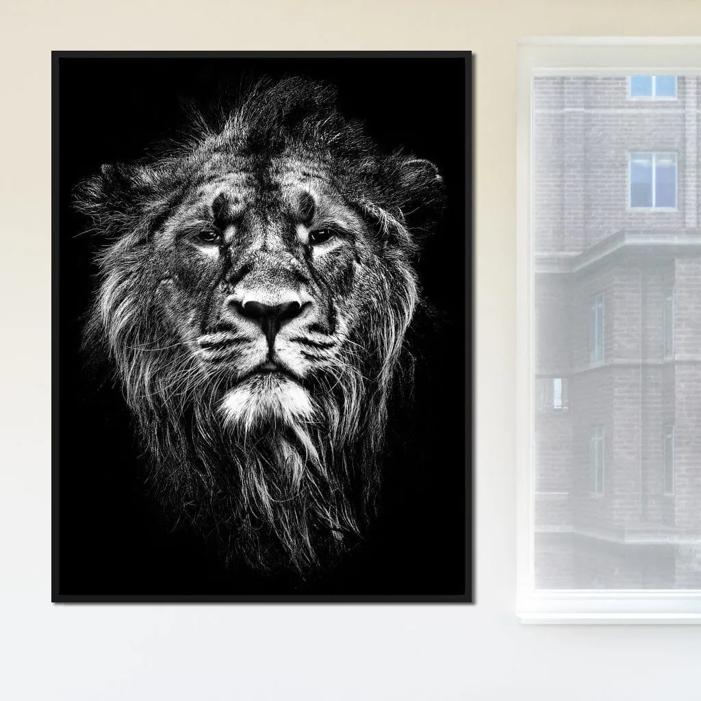 Black and White Lion Portrait