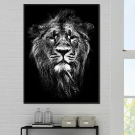 Black and White Lion Portrait