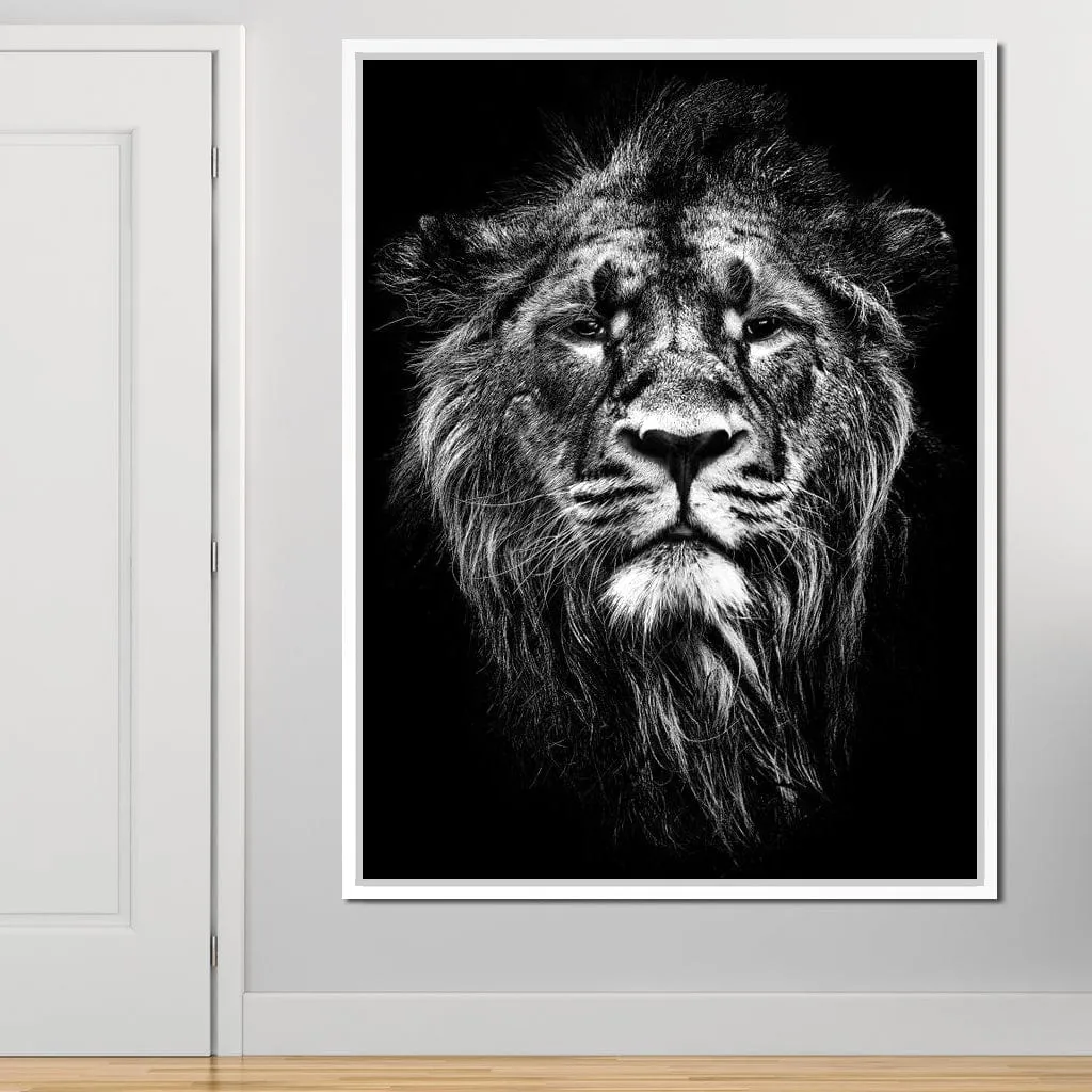 Black and White Lion Portrait