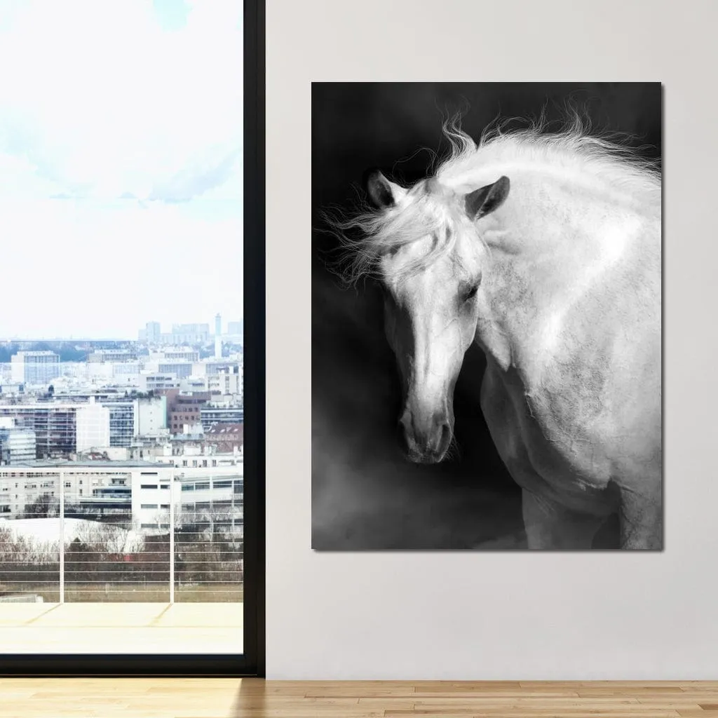 Black and White Majestic Horse