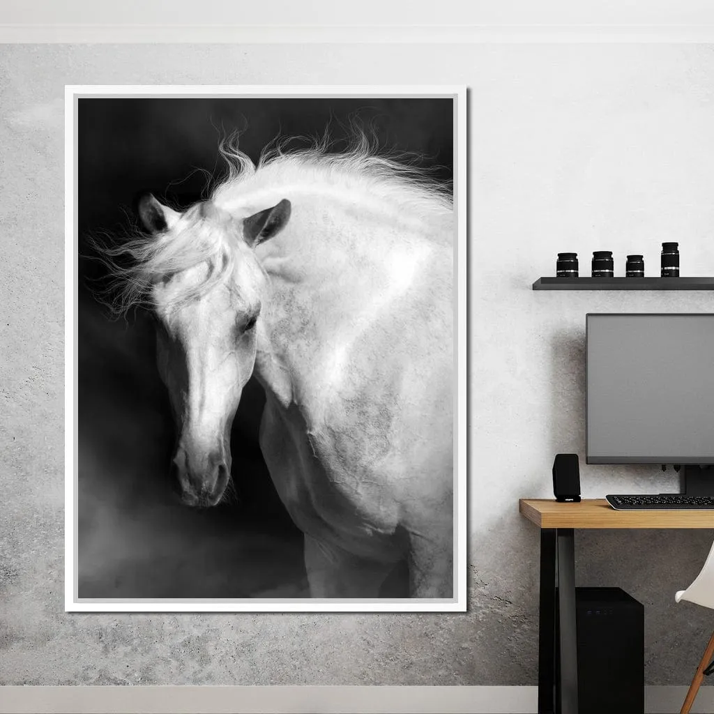 Black and White Majestic Horse