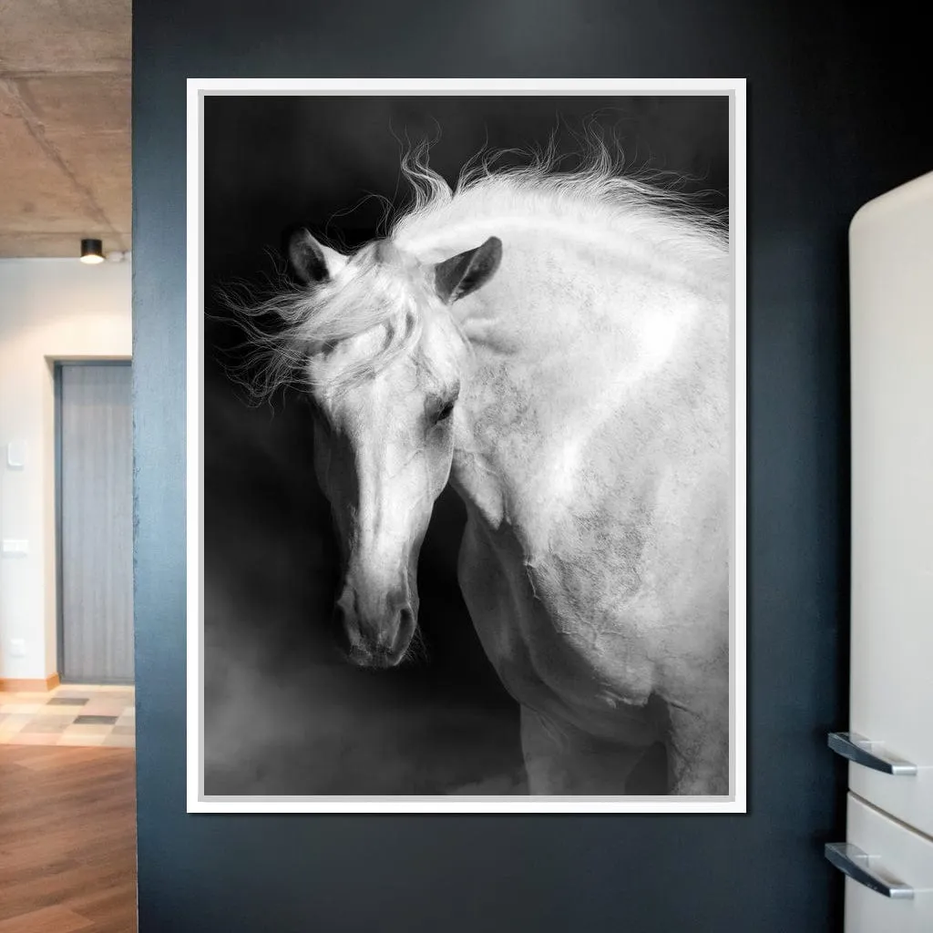 Black and White Majestic Horse