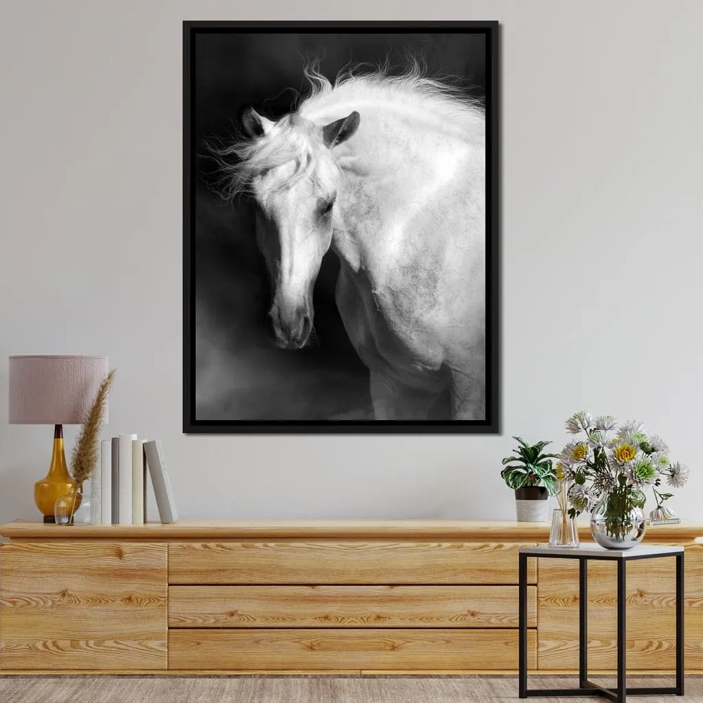 Black and White Majestic Horse