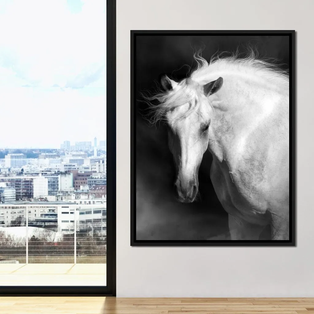 Black and White Majestic Horse