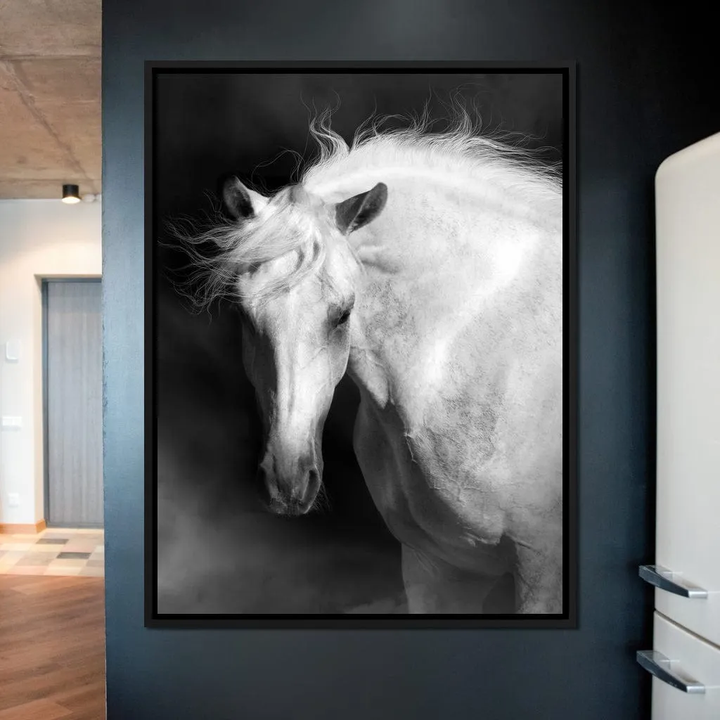 Black and White Majestic Horse