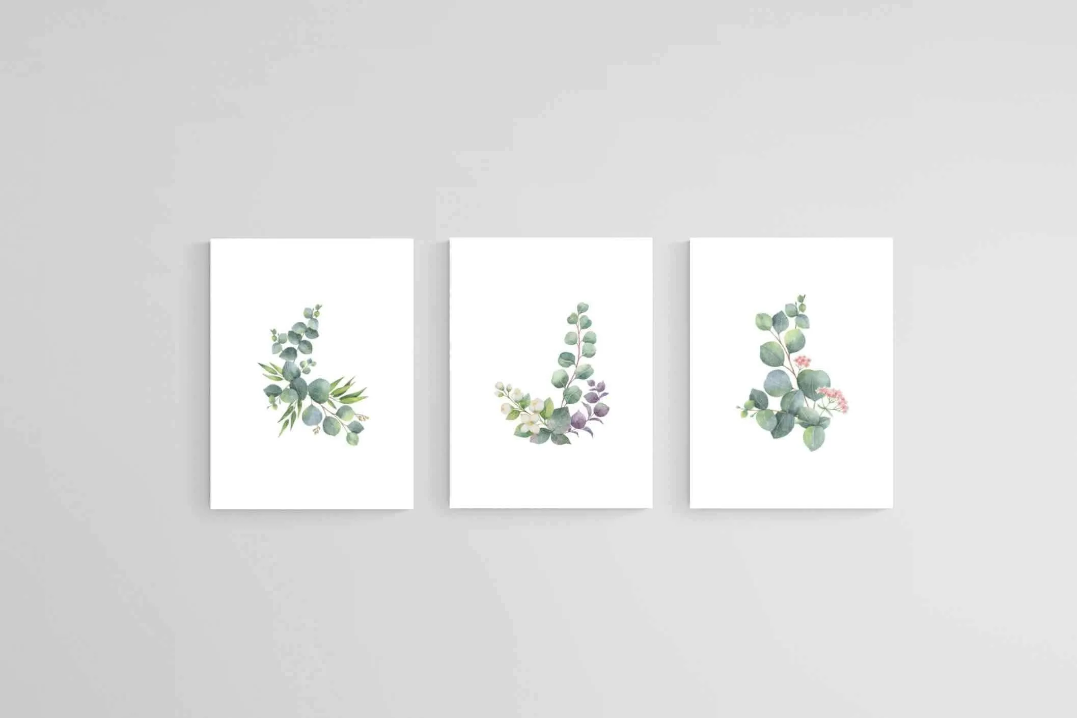 Botanical Set