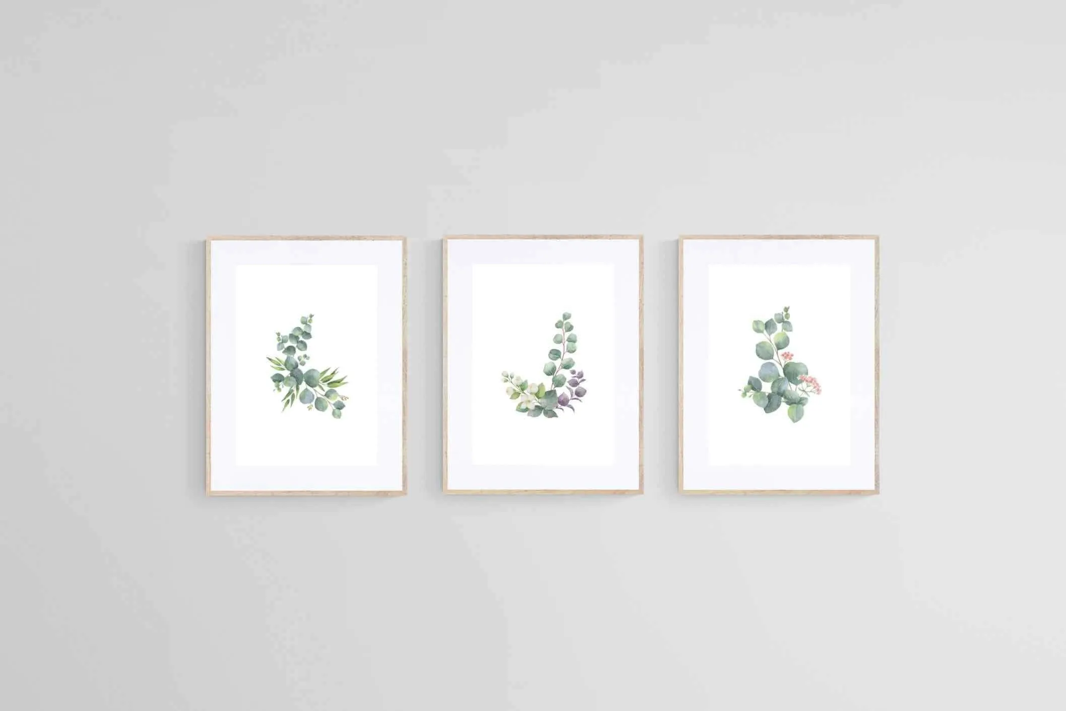 Botanical Set