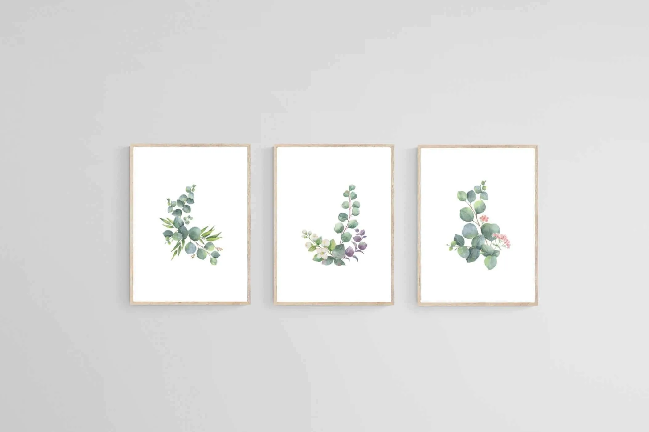 Botanical Set