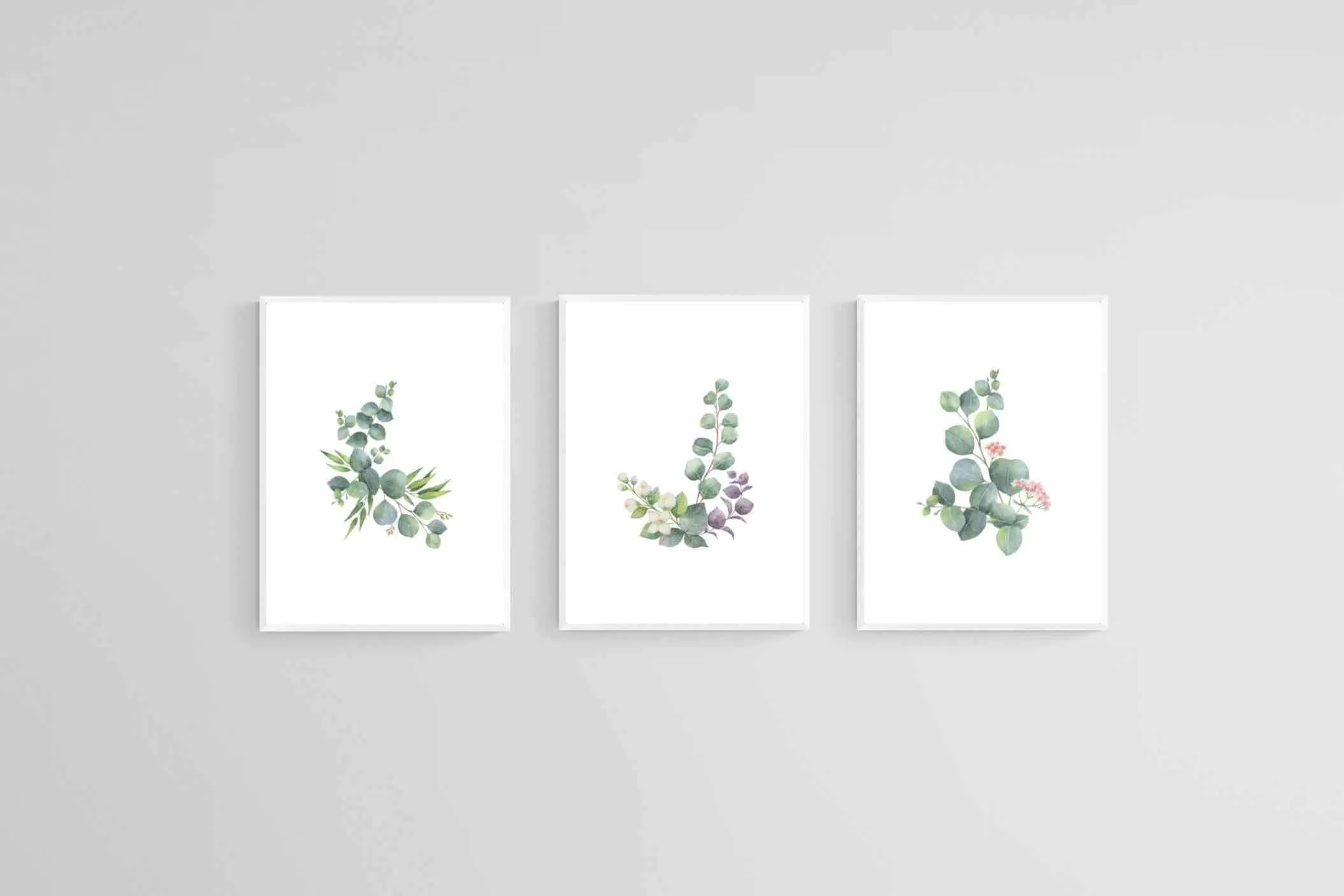 Botanical Set