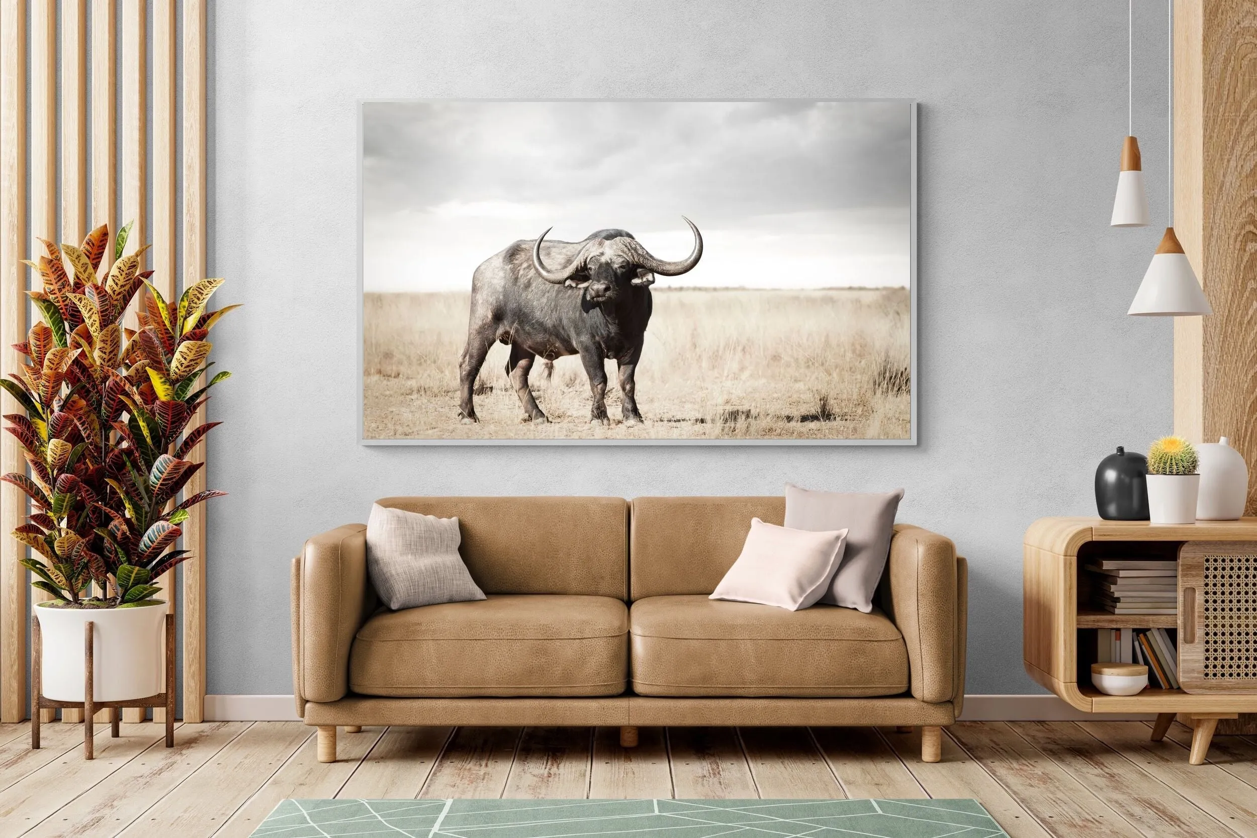 Broad Buffalo