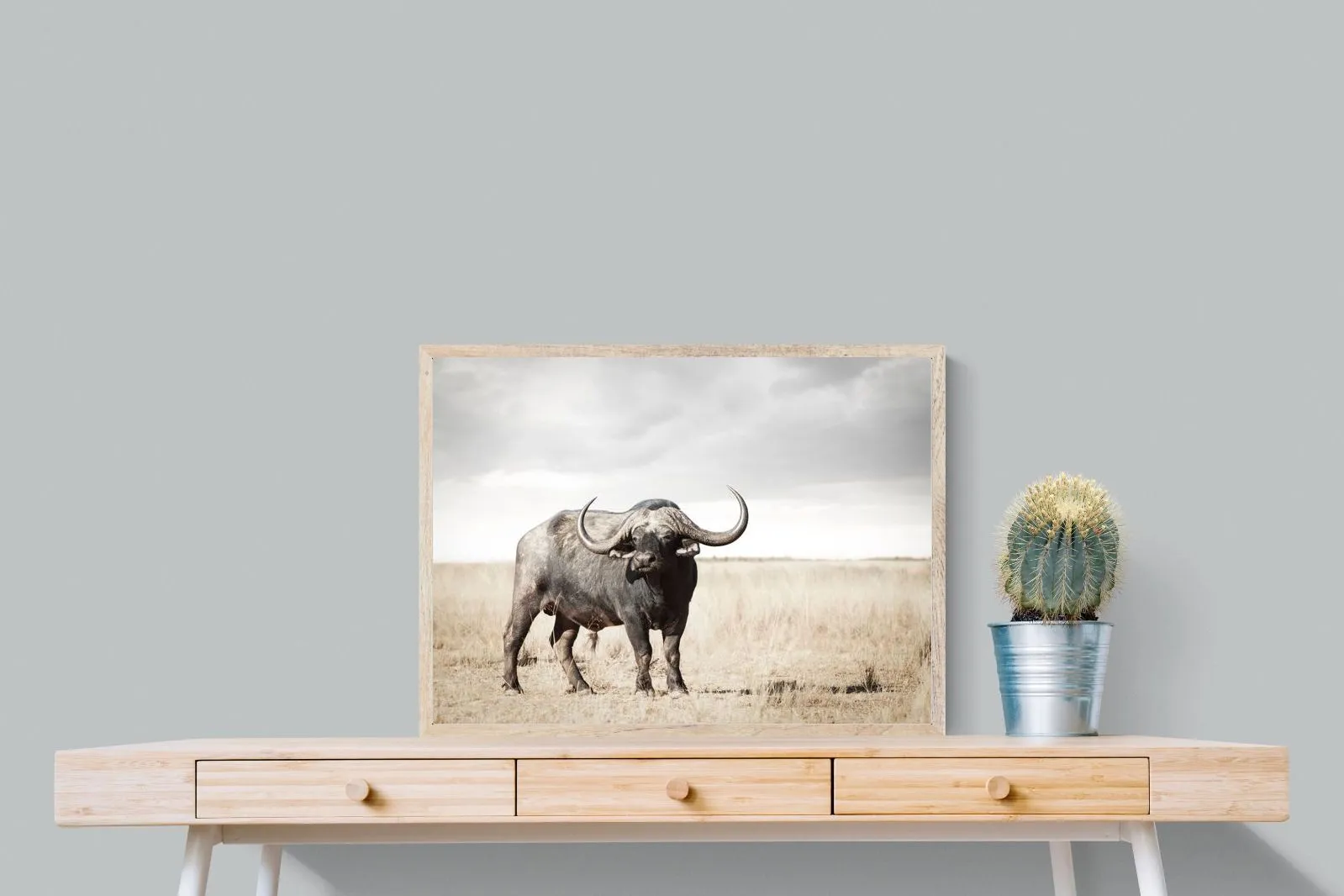 Broad Buffalo