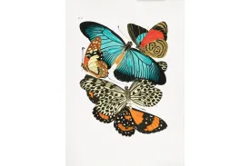 Butterfly Collage #1