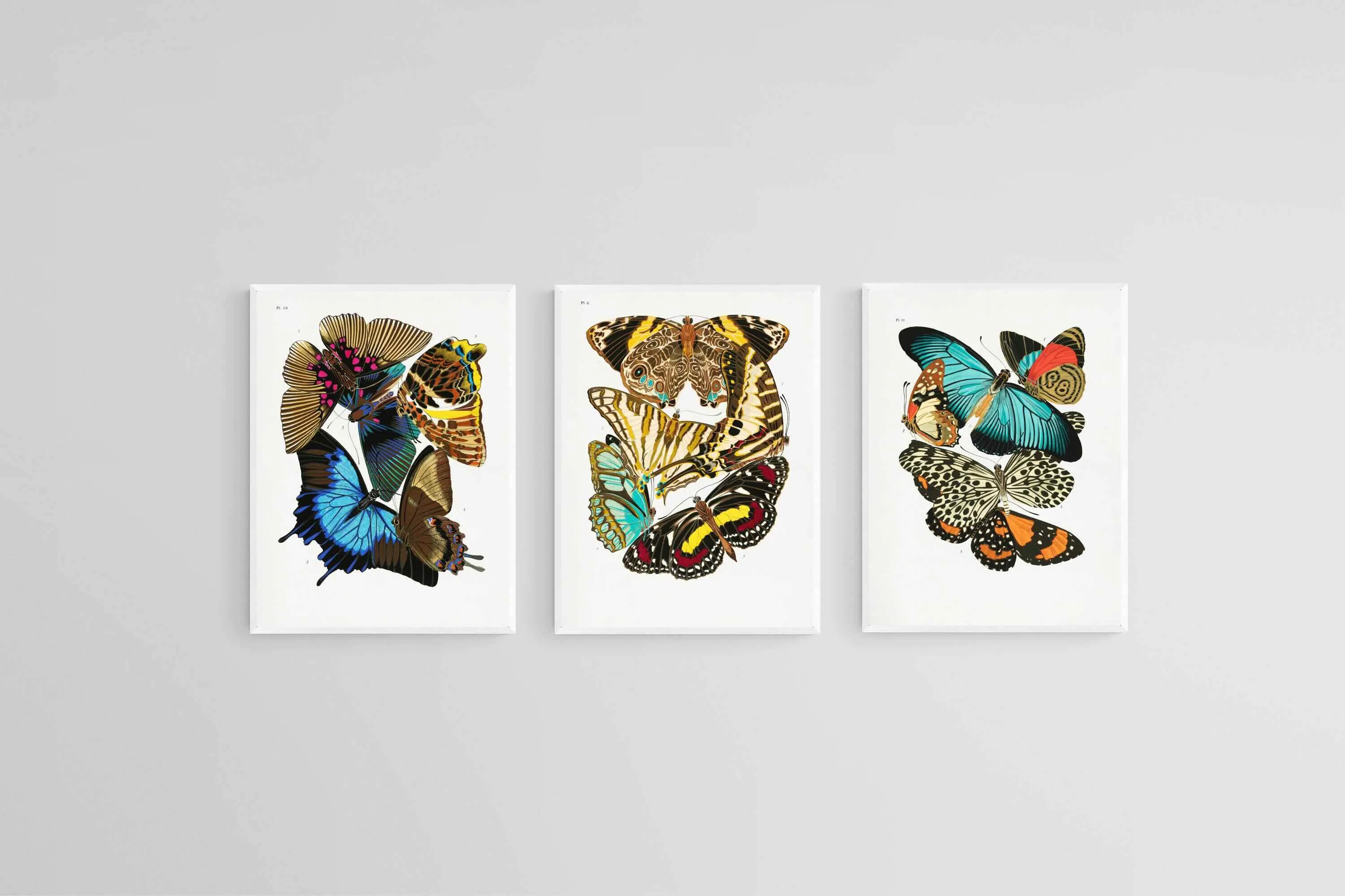 Butterfly Collage Set