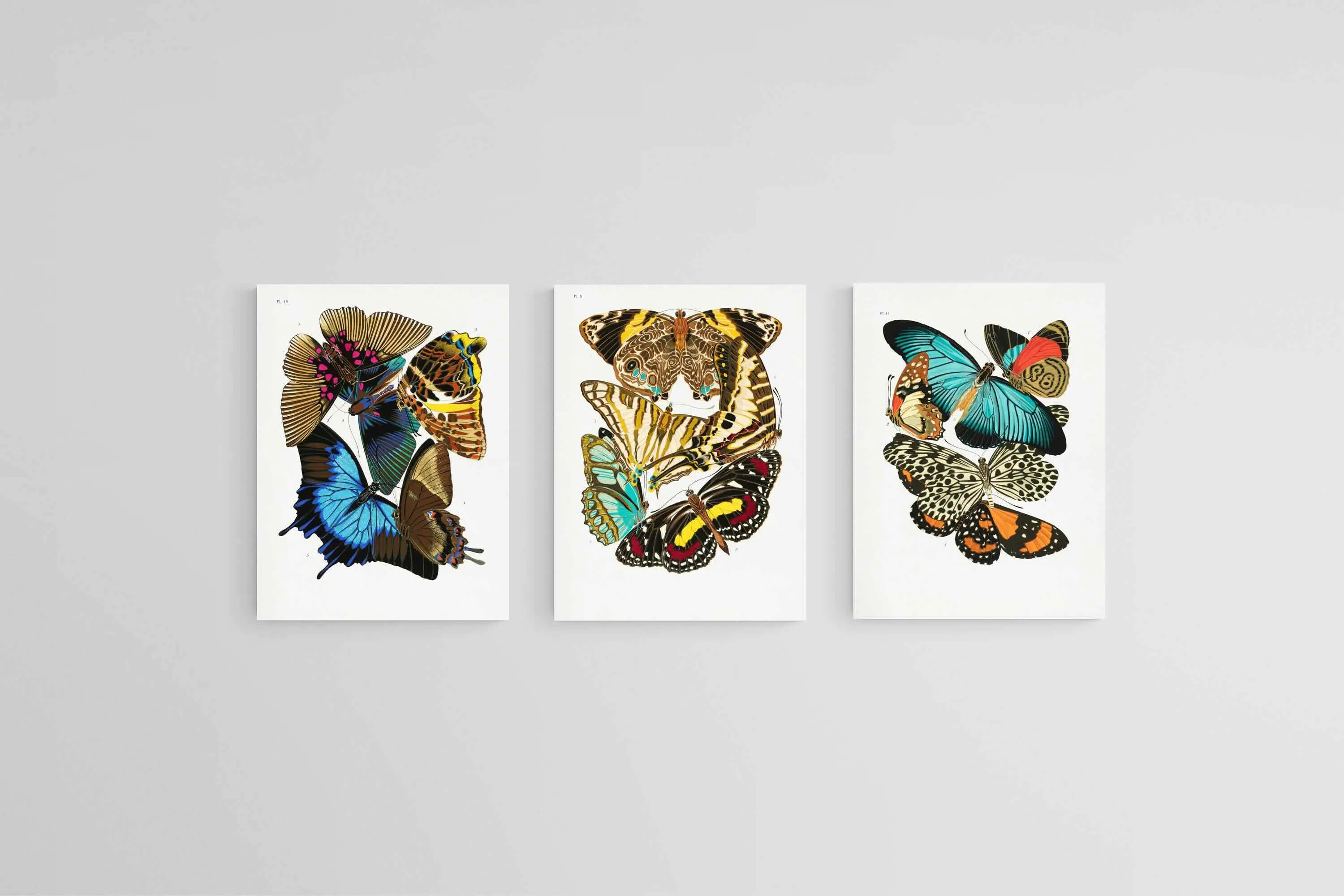 Butterfly Collage Set