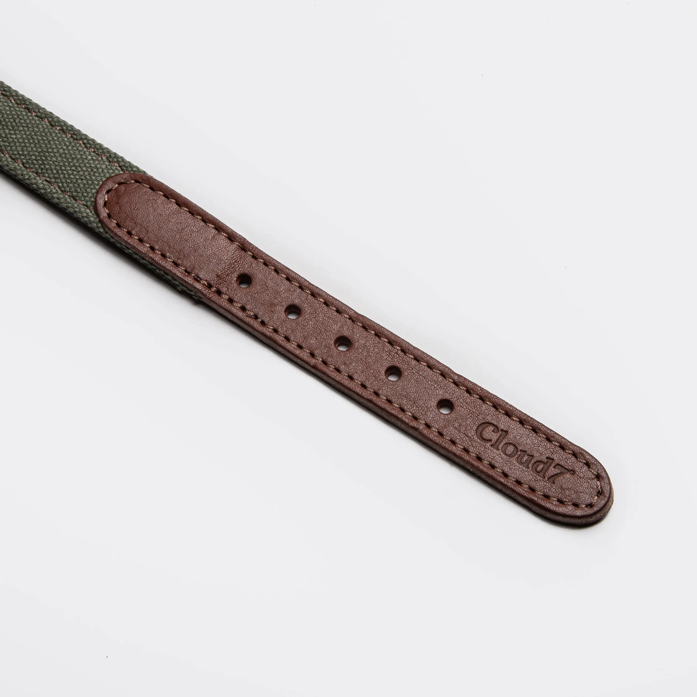 Cloud7: Tivoli Dog Collar in Canvas Leather, Olive