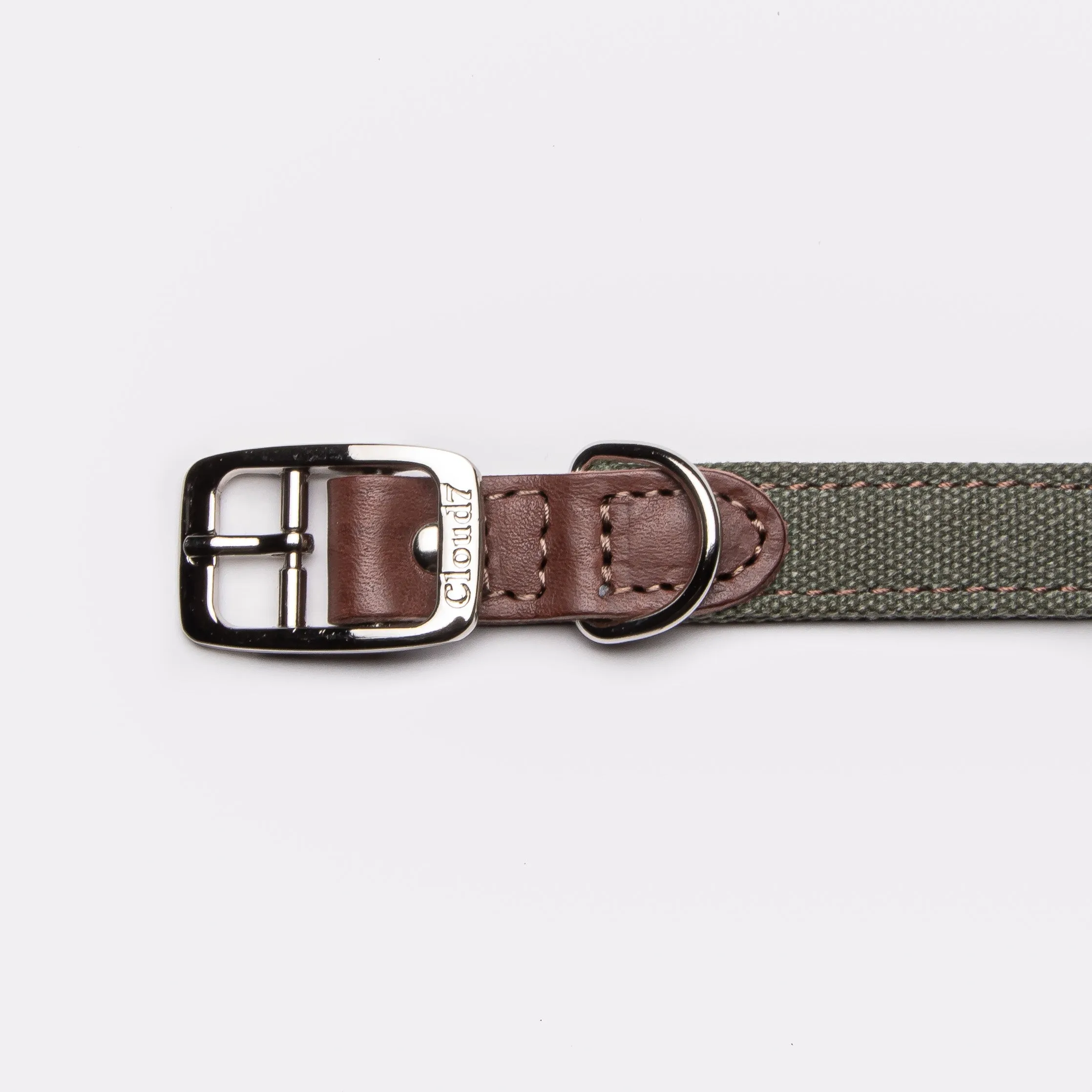 Cloud7: Tivoli Dog Collar in Canvas Leather, Olive