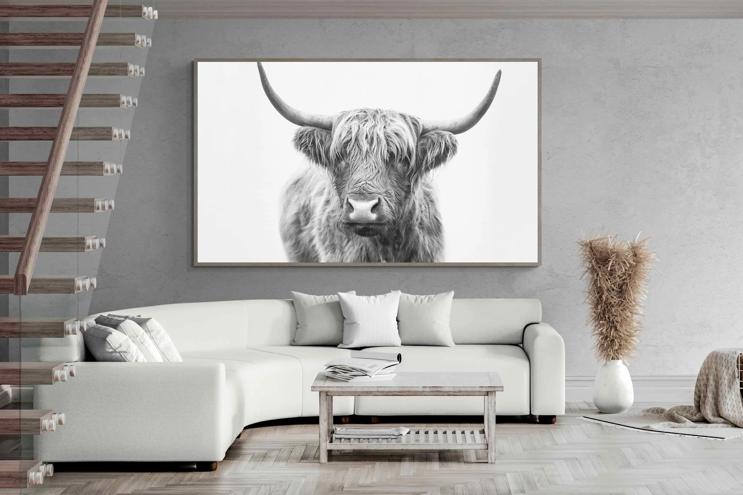 Highland Bull