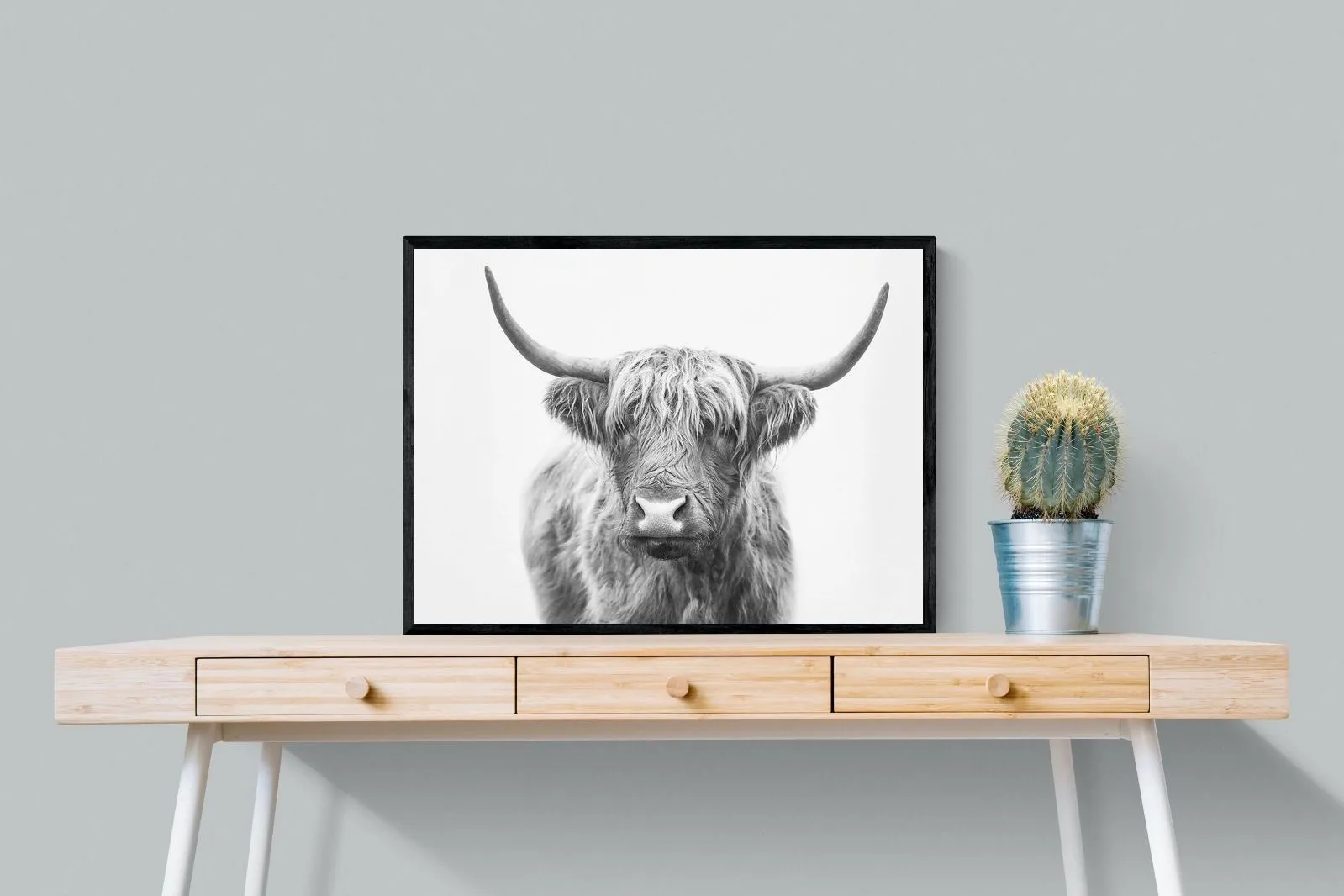 Highland Bull