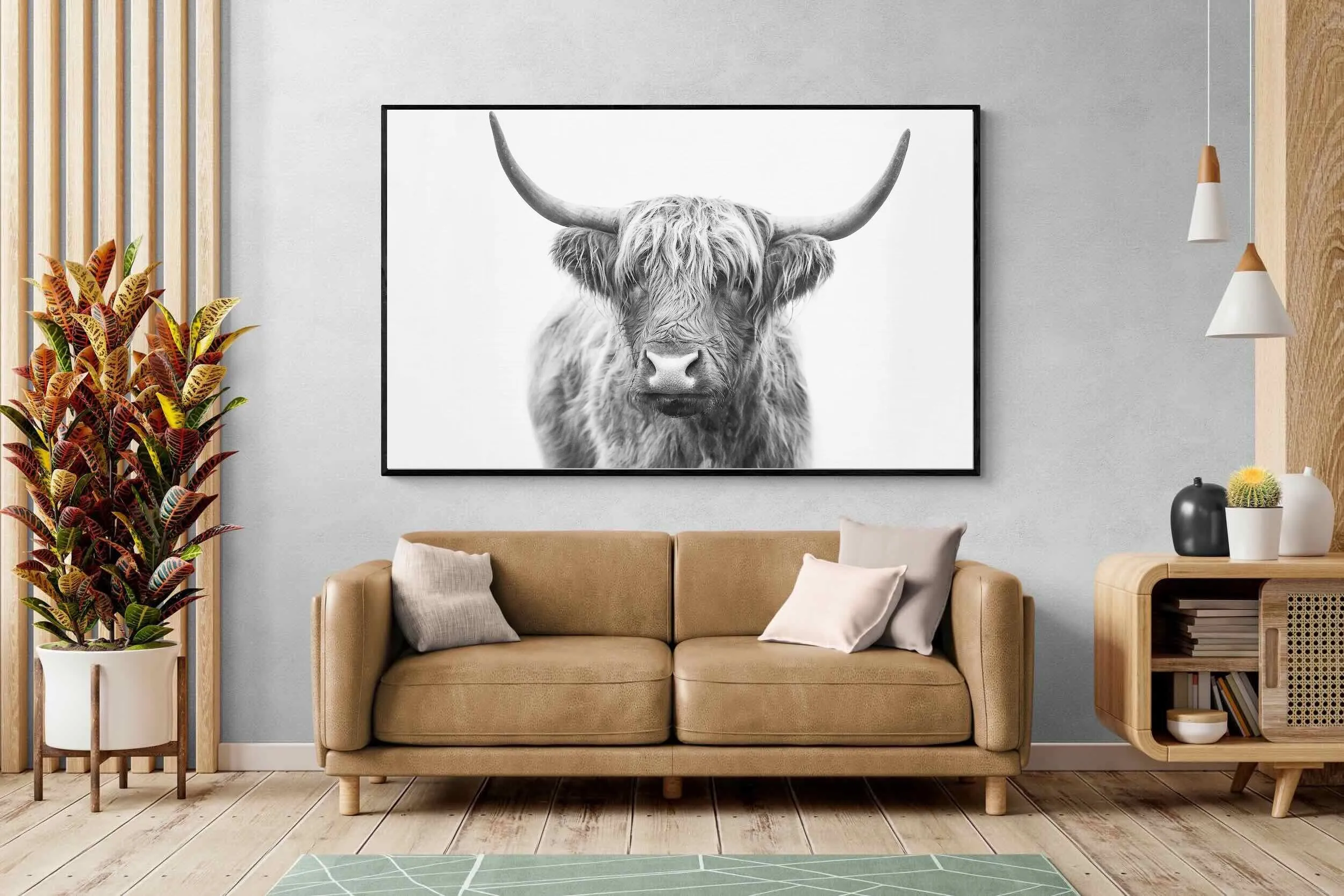 Highland Bull