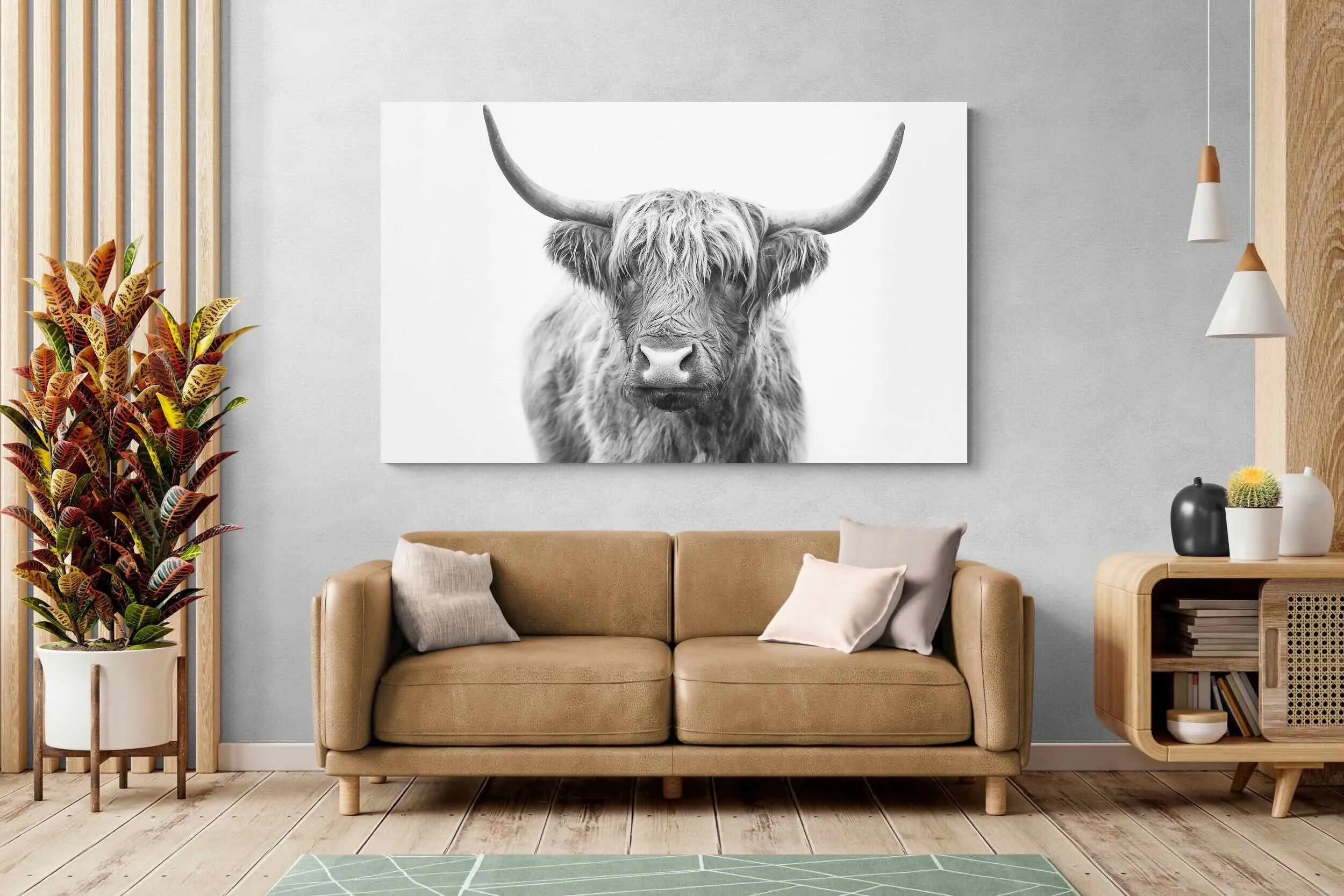 Highland Bull