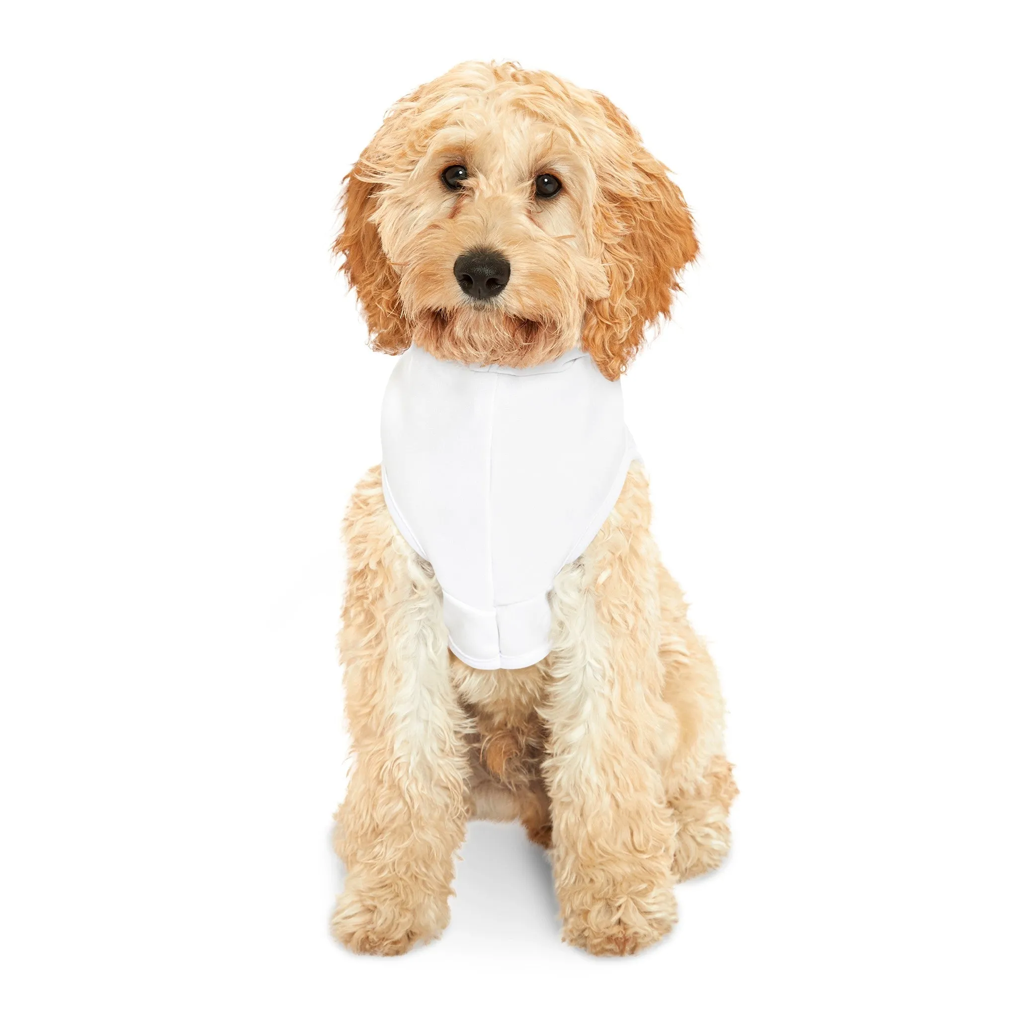 Kennedy Classic Pet Hoodie