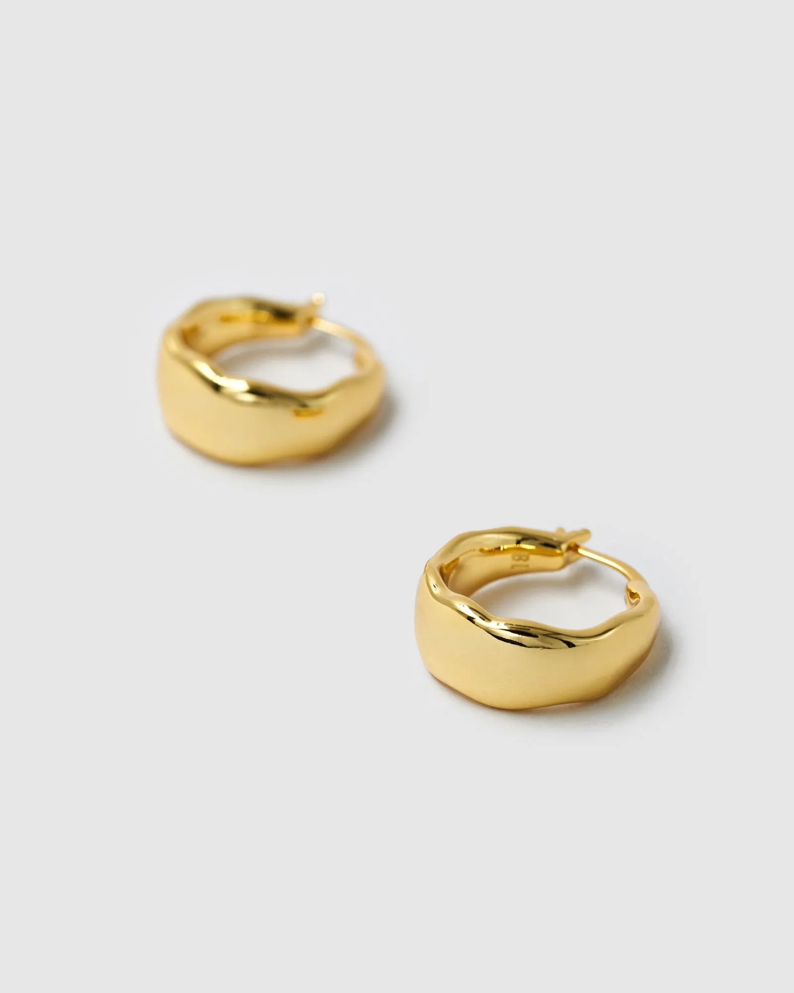 Organica Curved Earrings (RRP $139AUD)