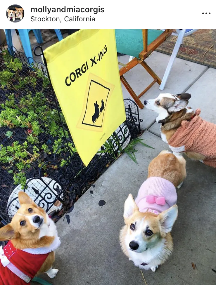 "Corgi Crossing" Garden Flag