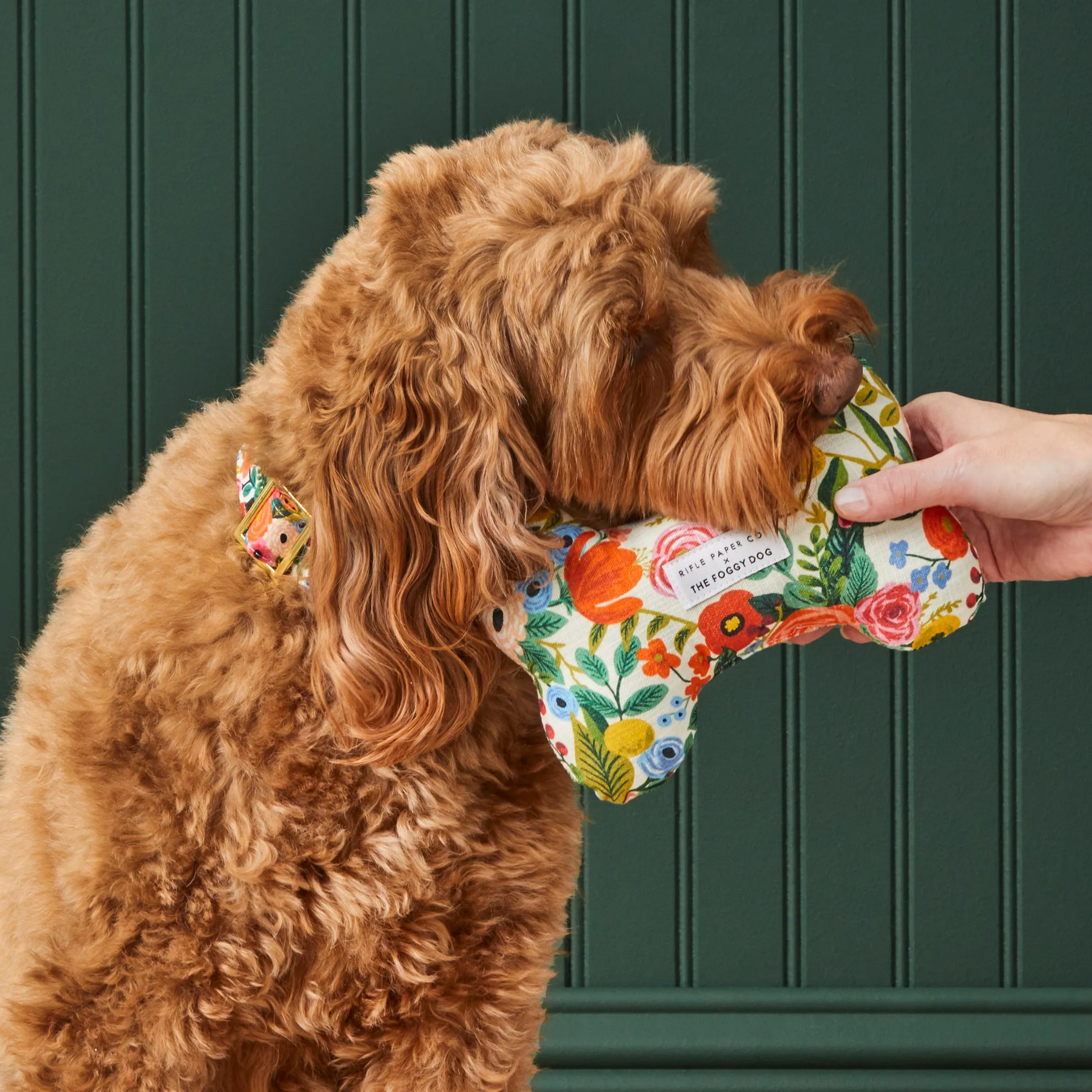 Rifle Paper Co. x TFD Garden Party Dog Squeaky Toy