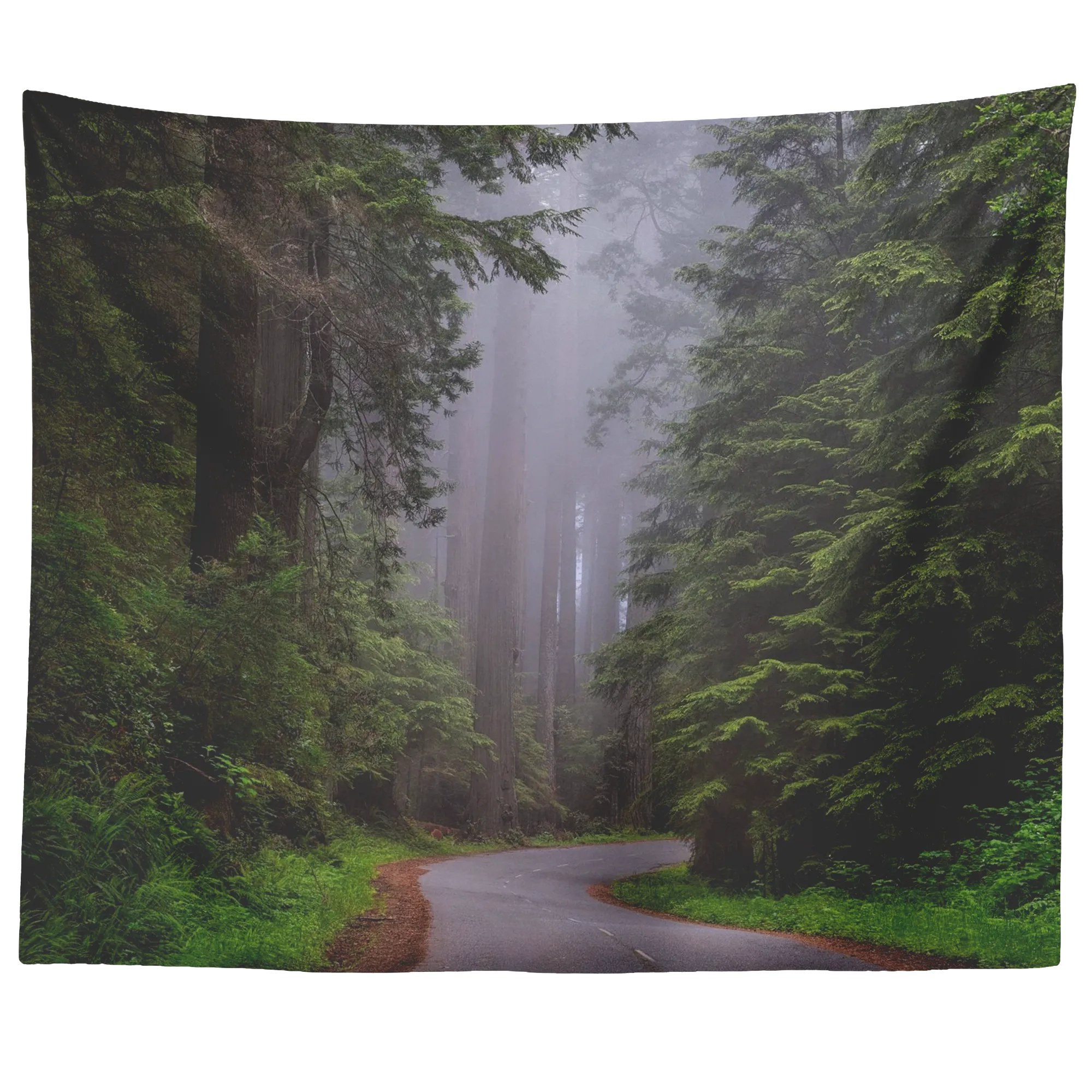 Tapestry - Redwood Forest Trail - 80 inch x 68 inch